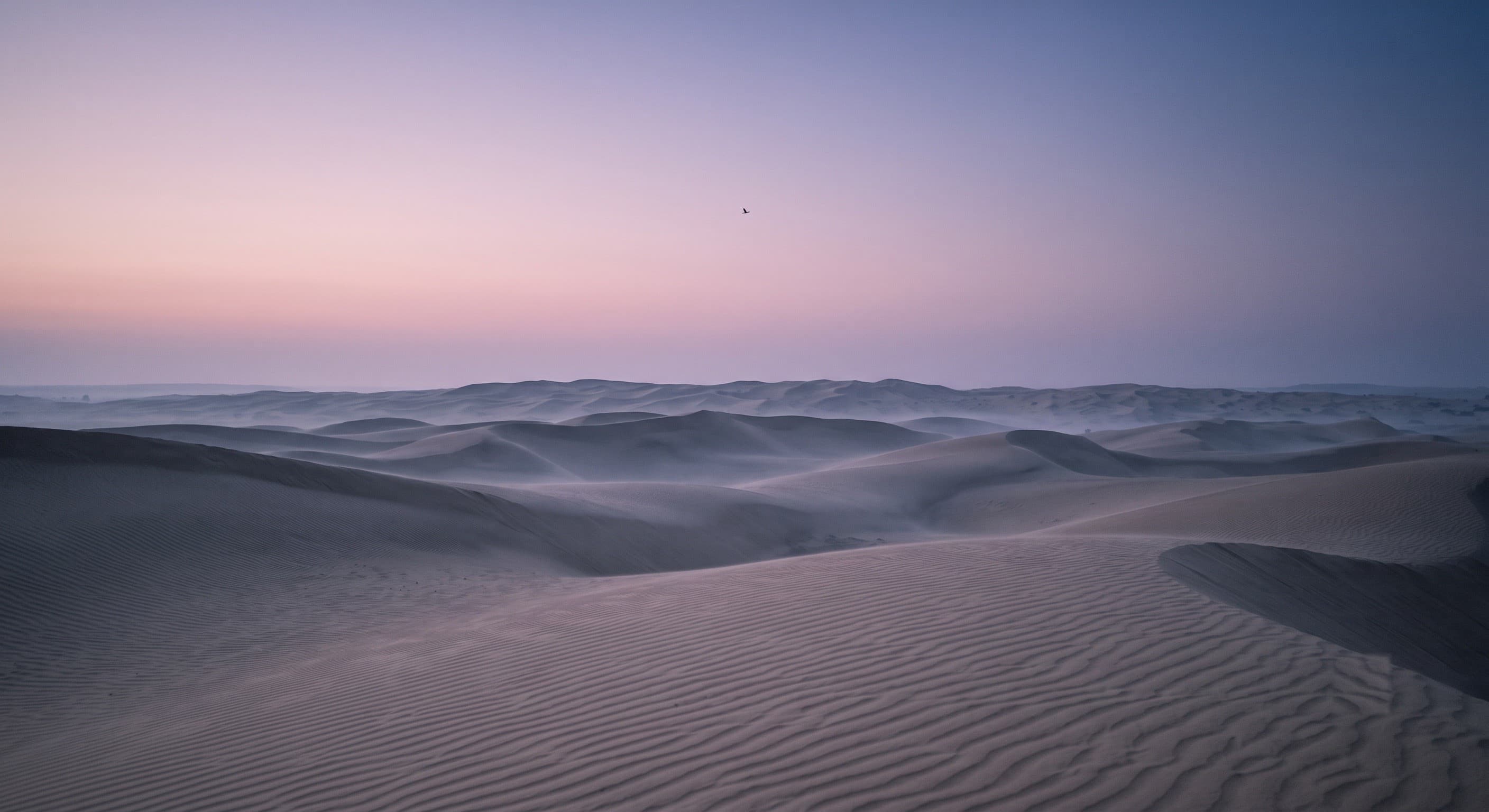 Pale pink dawn light over misty Khuri dunes at Explore Overnight Desert Camp Jaisalmer